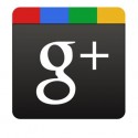 Google+ Networking for Business
